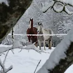 Le Heron Prázdninový dům Houffalize