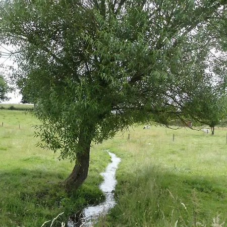 Le Heron Houffalize