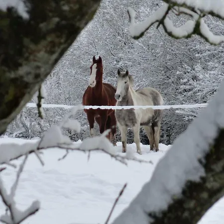 Le Héron Сasa de vacaciones Houffalize
