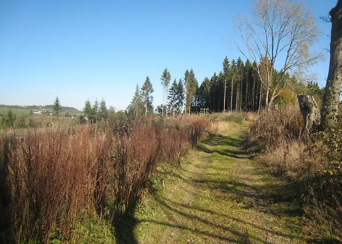 Le Heron * Houffalize