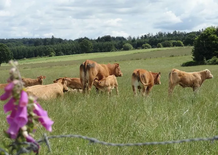 Le Heron * Houffalize